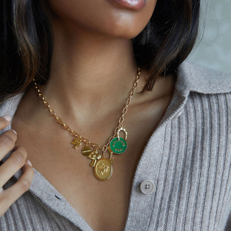 horseshoe charm 