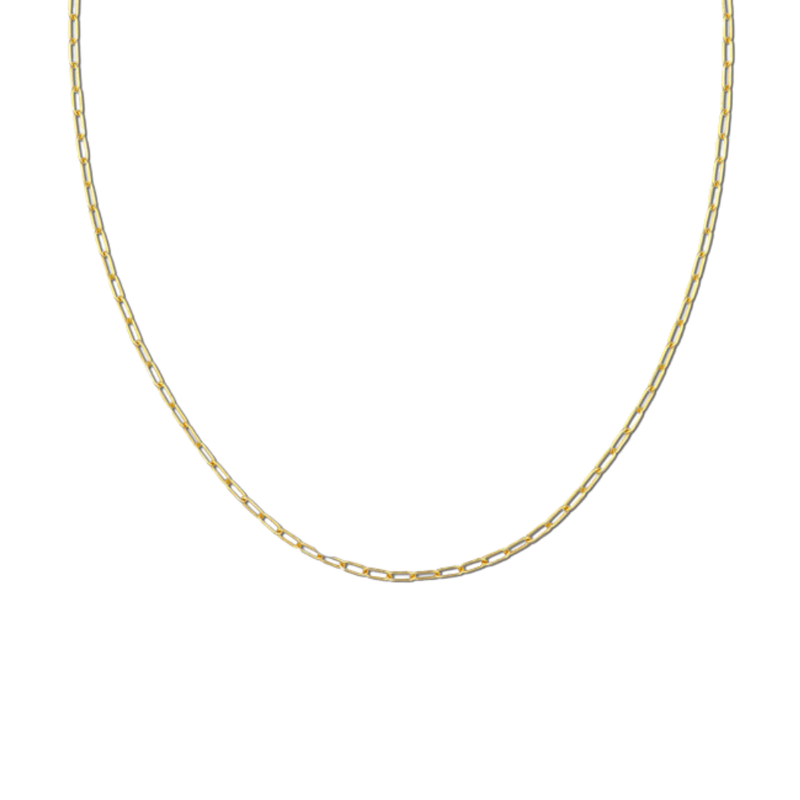 Gold Filled Chain, Rare Bloom Boutique