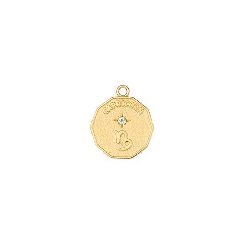 Elemental Capricorn Zodiac Charm