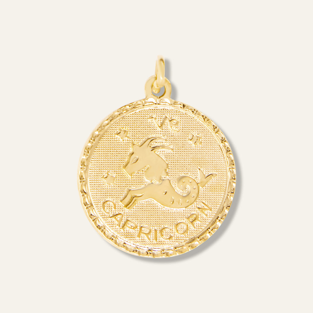 Capricorn Zodiac Charm 800547256