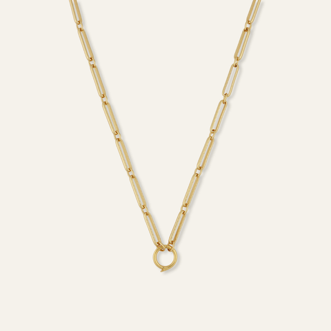 Mixed Link Charm Clip Necklace