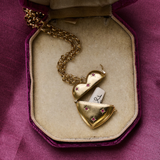 Heart Vesta Case Necklace