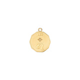 Elemental Leo Zodiac Charm