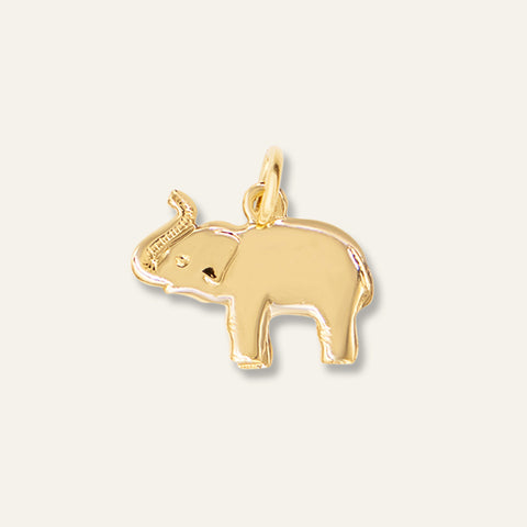 Lucky Elephant Charm