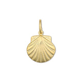 Gold Scallop Shell
