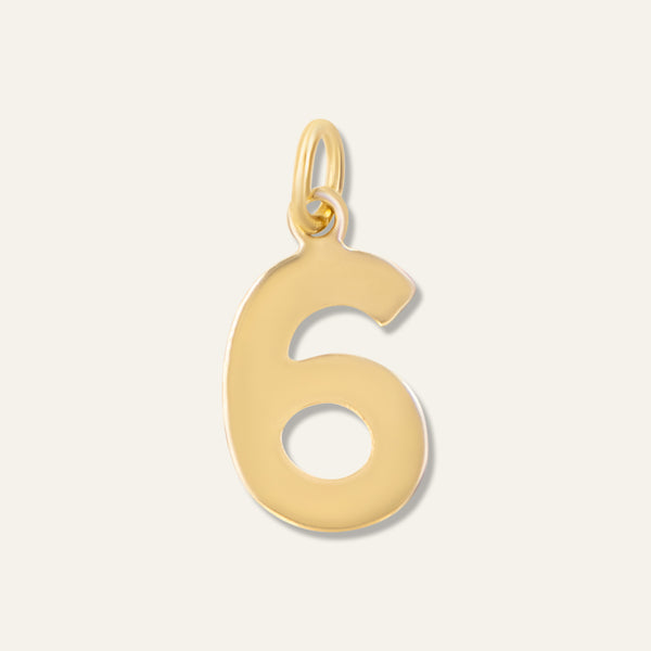 Number 6 Charm