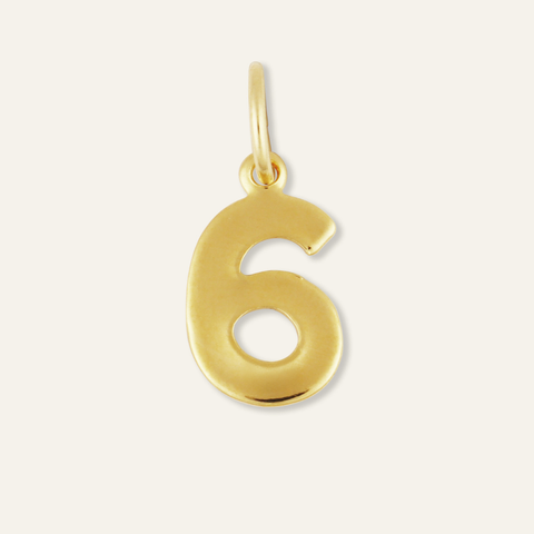 Number 6 Charm