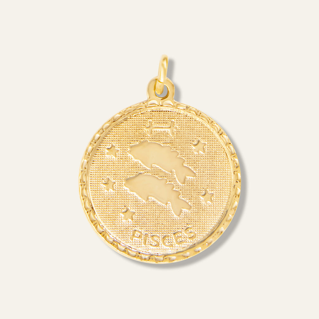 Pisces Zodiac Charm 800529858