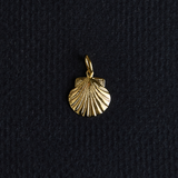 Gold Scallop