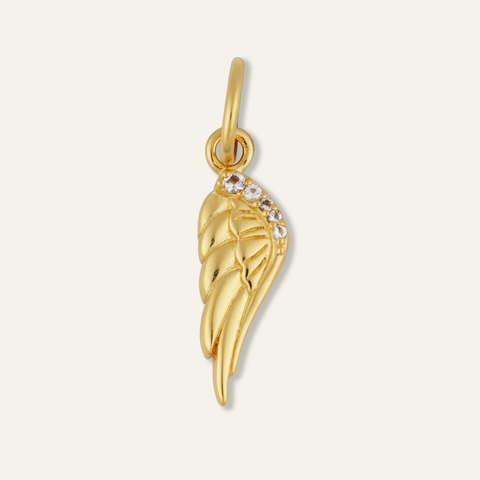 Wing Charm