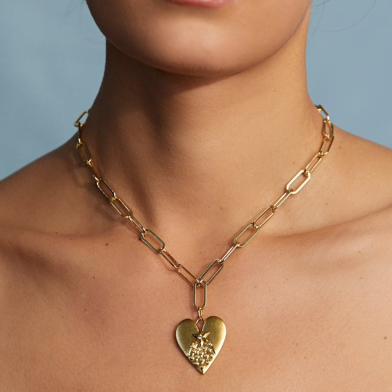 halley's heart necklace