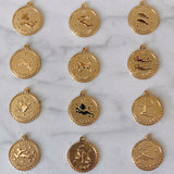 Zodiac Coin Necklace