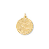 Aquarius Zodiac Charm