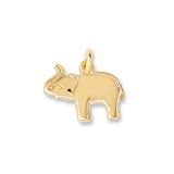 Lucky Elephant Charm