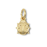 lucky ladybug charm
