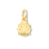 Lucky Ladybug Charm